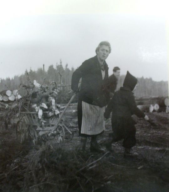 Foto Waldrodung Embrach