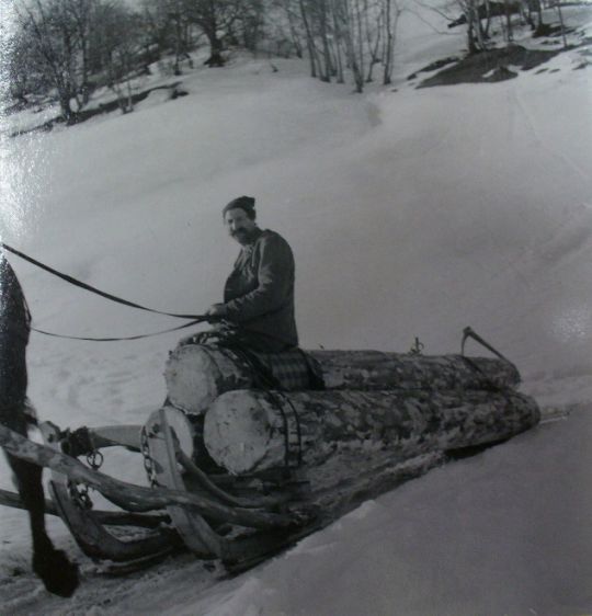 Foto Holztransport mit Pferd und Schlitten