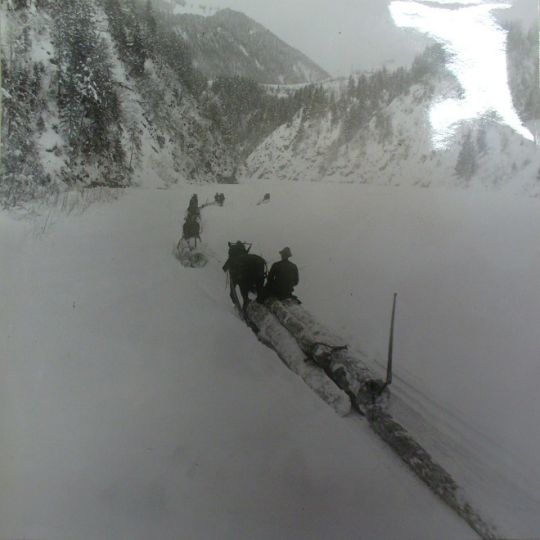 Foto Holztransport mit Pferd und Schlitten