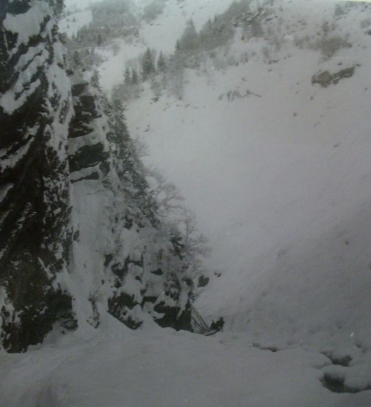 Foto Holztransport mit Pferd und Schlitten