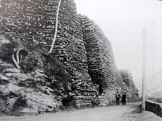 Foto Grosser Brennholzstapel