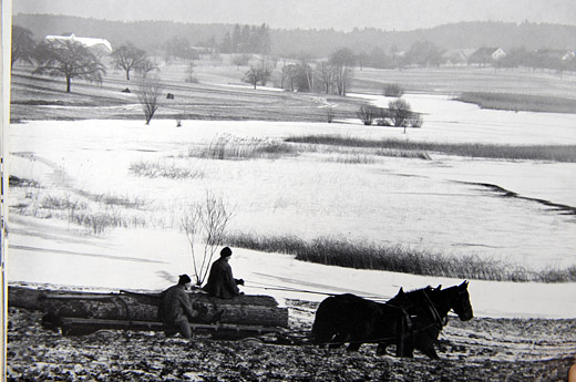 Foto Heimfahrt mit Holzgespann