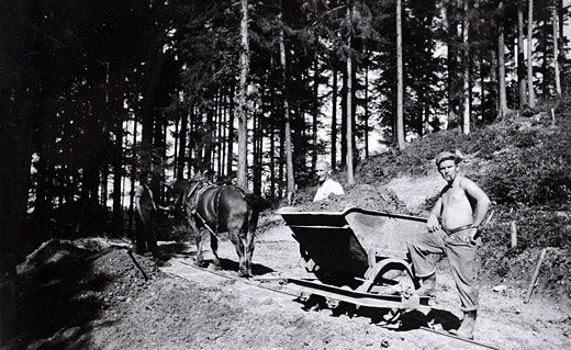Foto Waldstrassenbau