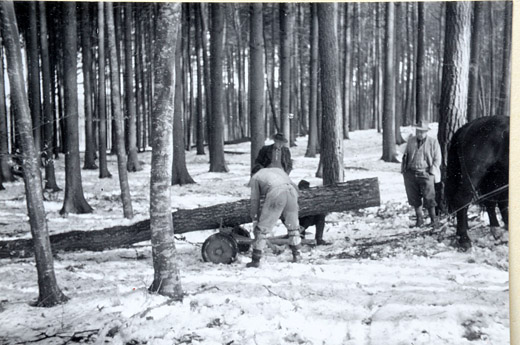 Foto Rückekarren