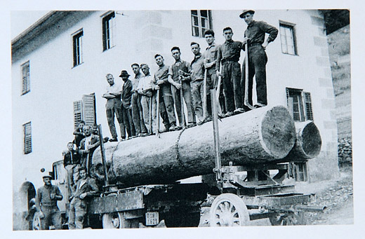 Foto Holztransport einer Grava Lärche