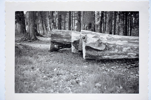 Foto Schlecht geschrotetes Nutzholz