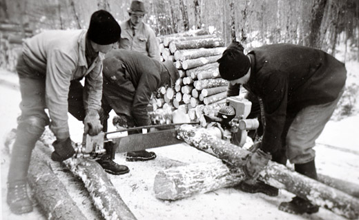 Foto Zweimannmotorsäge
