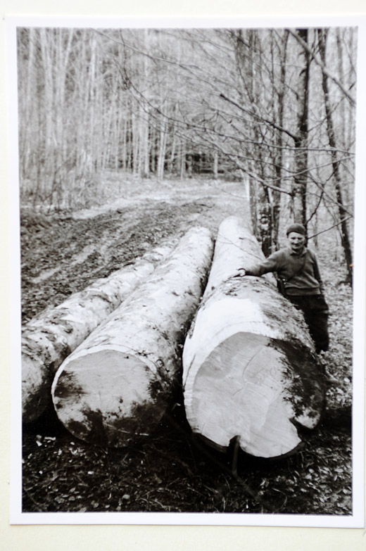 Foto Förster Konrad Windler am Lagerplatz von Nutzholzstämmen