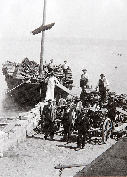 Foto Brennholzimport aus Deutschland