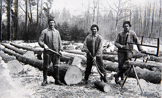 Foto Holzernachwuchs