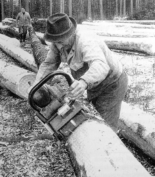 Foto Entrinden mit Biber