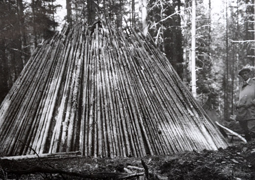 Foto Kohlenmeiler für Stangenholz