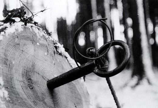 Foto Sprengung von Holz