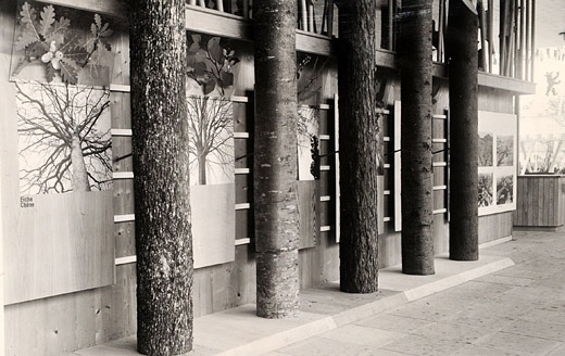 Foto Waldausstellung