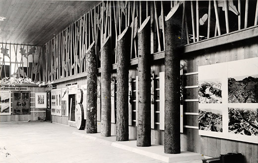 Foto Wald und Holz in Ausstellung