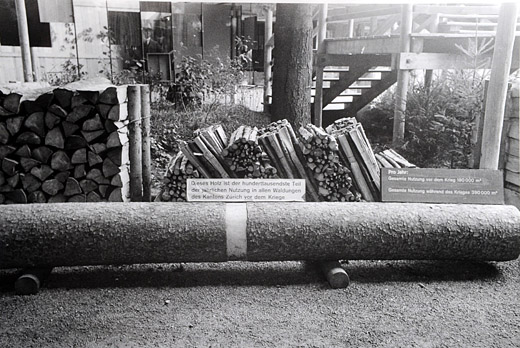 Foto Wald und Holz in Ausstellung