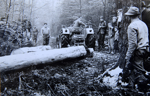 Foto Rücken mit Traktor