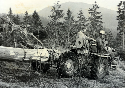 Foto Rücken mit Merk - Pullax