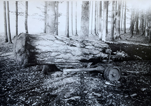 Foto Rückerolli