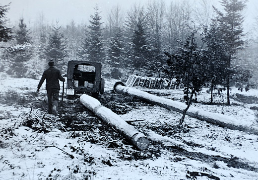 Foto Rücken mit Jeep und Schlepphaube