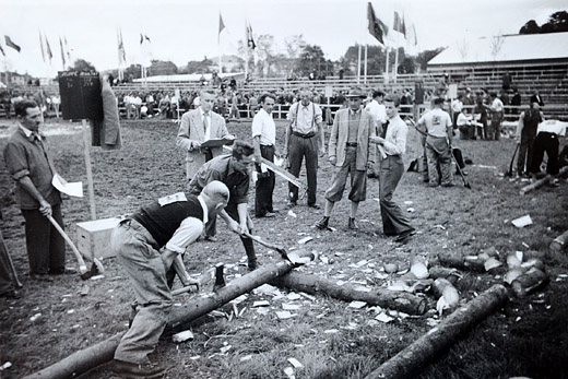 Foto Holzerwettkampf