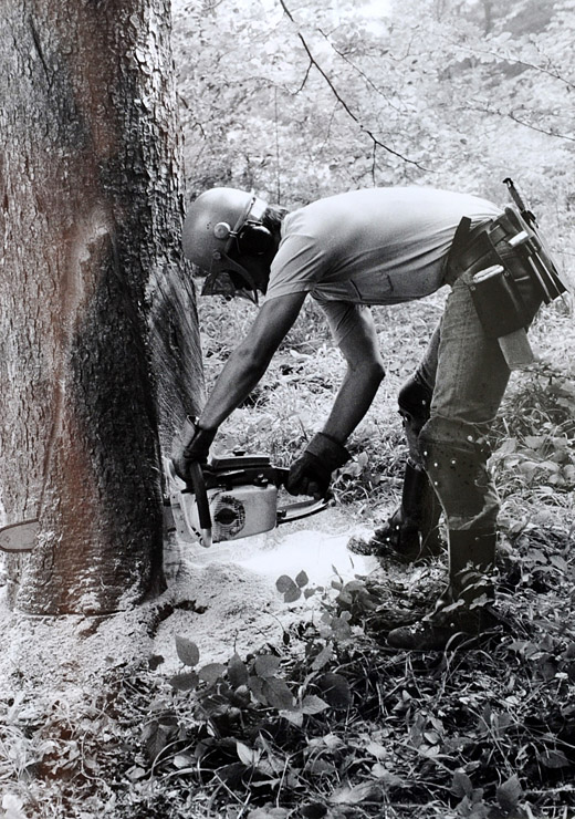 Foto Körperhaltung beim anschroten