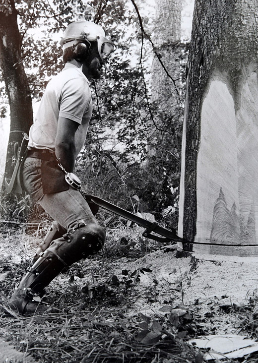 Foto Körperhaltung beim Fällen