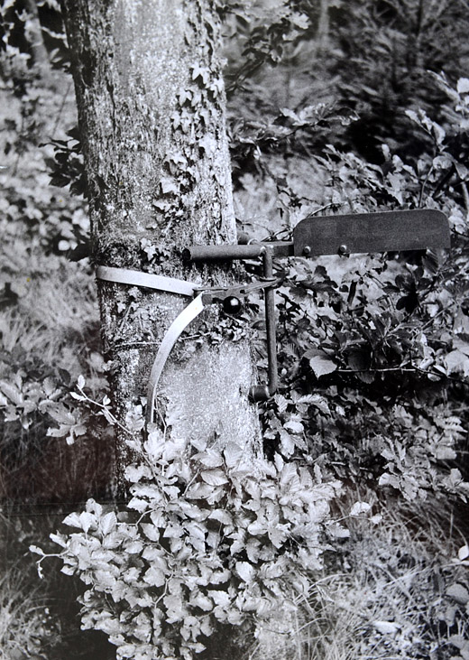 Foto Kettenhalter Solo FZ