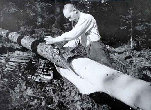 Foto Fichtenrinde für Gerbzwecke