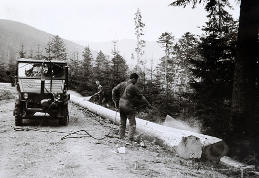 Foto Spritzmitteleinsatz