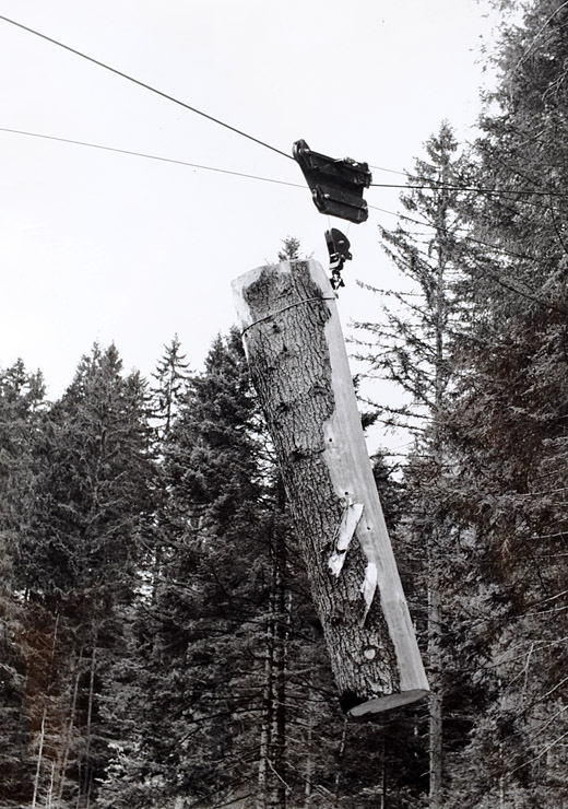 Foto Laufkatze Baco mit Last