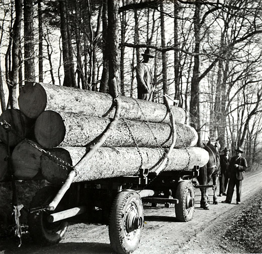 Foto Vorbildlich gesichertes Holzfuhrwerk