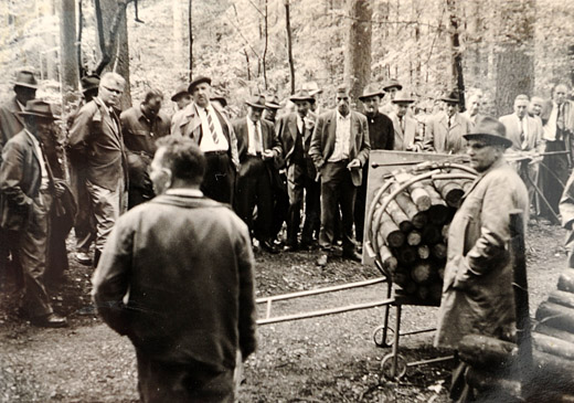 Foto Brennholzbündel