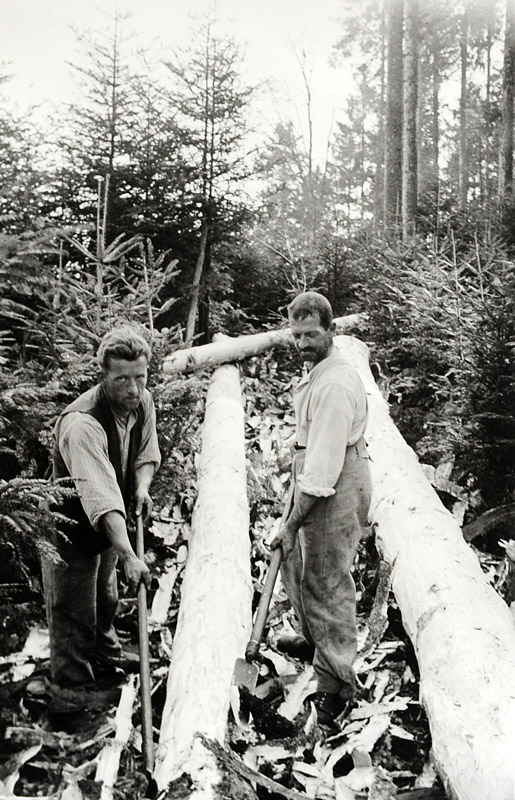 Foto Entrinden mit Schäleisen