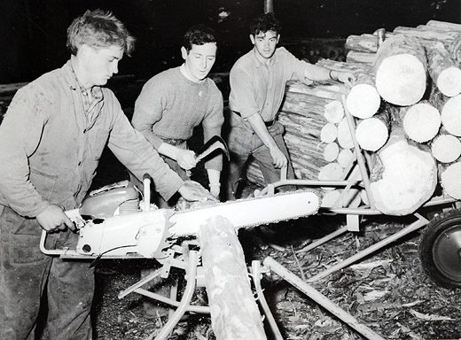 Foto Einschneiden von Papierholz