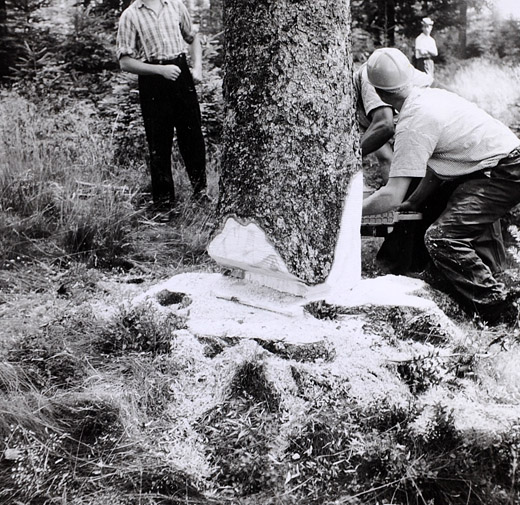 Foto Holzerkurs in Deutschland