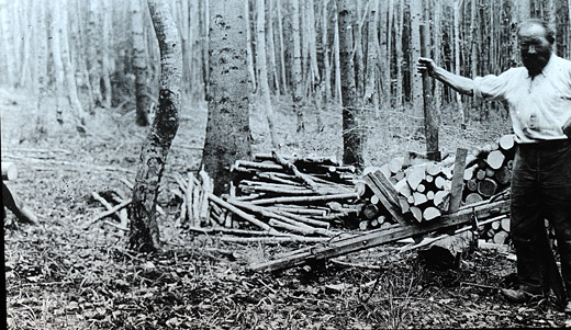 Foto Wellenmacher bei der Arbeit