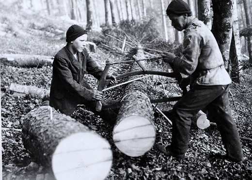 Foto Brennholz schneiden mit Bügelsäge
