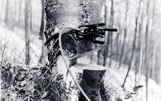 Foto Stammpresse Simplex