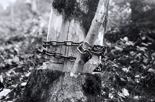 Foto Reiteln mit Kette