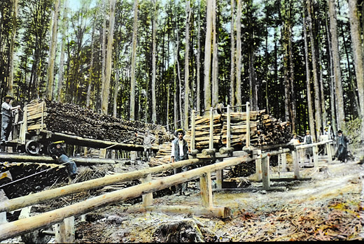 Foto Holztransport mit Waldeisenbahn