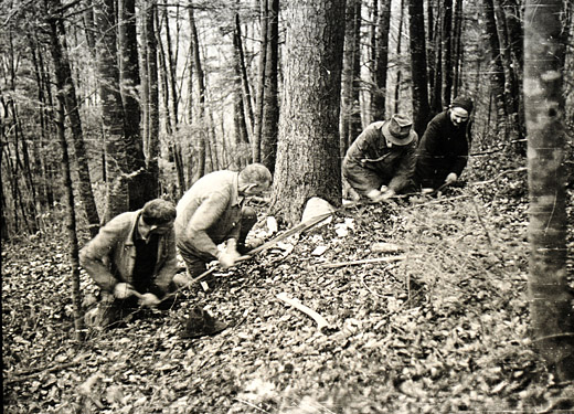 Foto Unsachgemässes Fällen mit Hobelzahnsäge