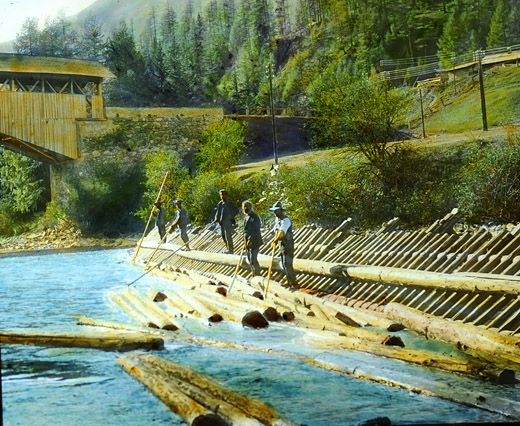 Foto Triftrechen am Inn