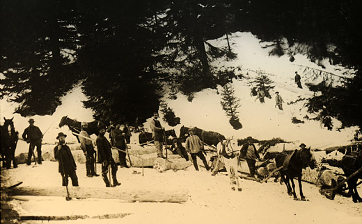 Foto Rücken im Schnee
