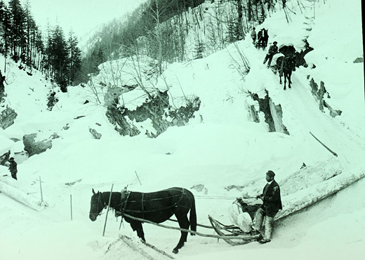 Foto Rücken mit Pferdeschlitten