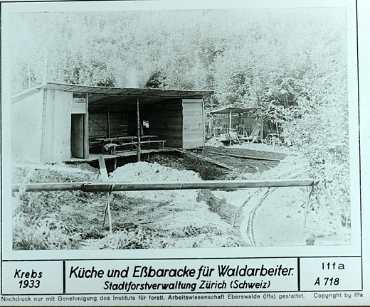 Foto Schutzhütte im Sihlwald