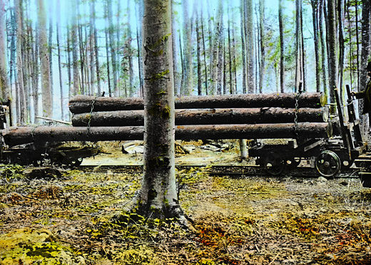 Foto Waldeisenbahn