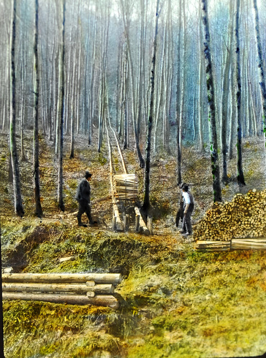 Foto Waldeisenbahn