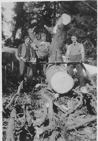 Foto Bei der Holzhauerei