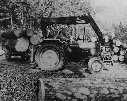 Foto Holztransport